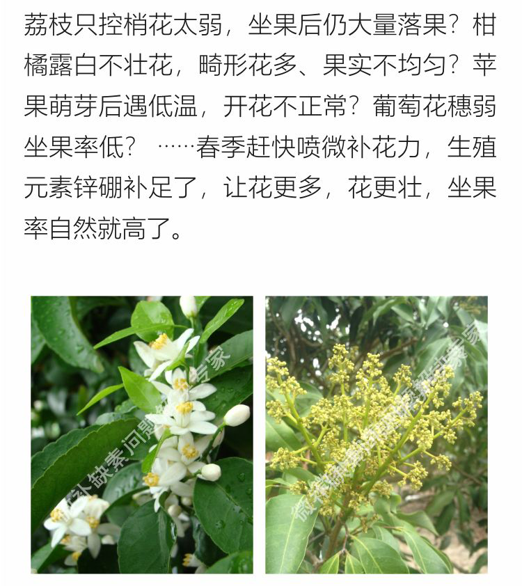 微补花力750_08.png