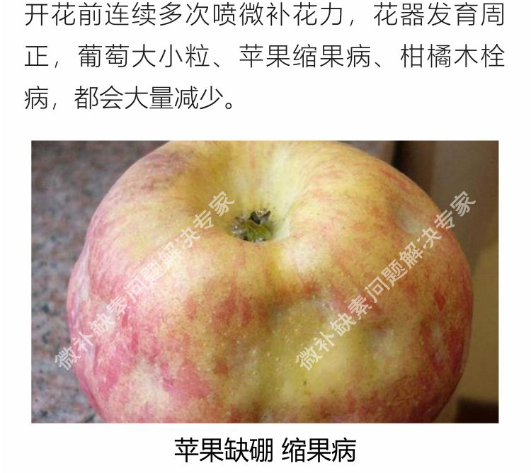 微补花力750_11.png