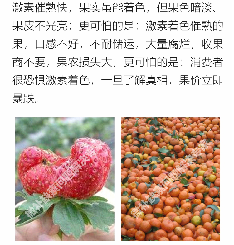 红果力750_03.png