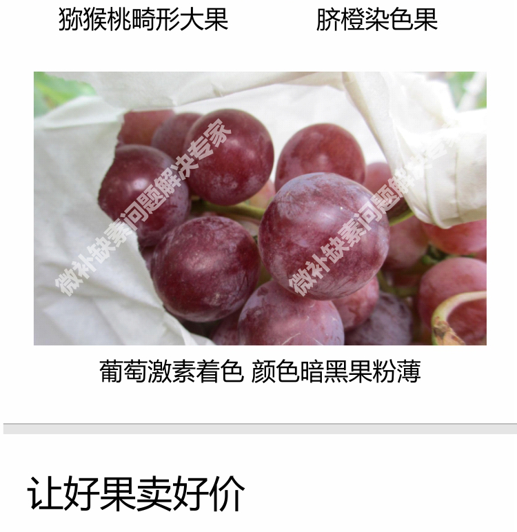 红果力750_08.png
