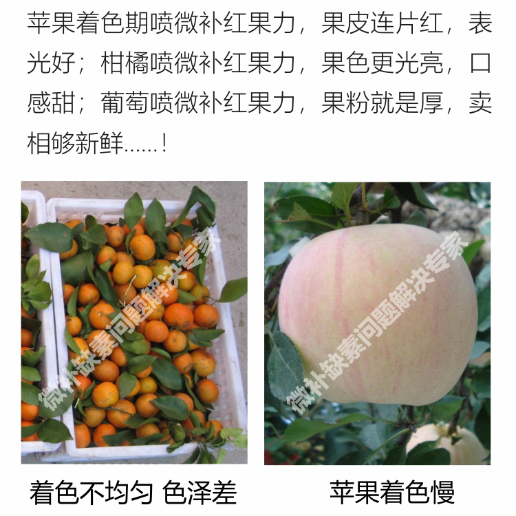 红果力750_09.png
