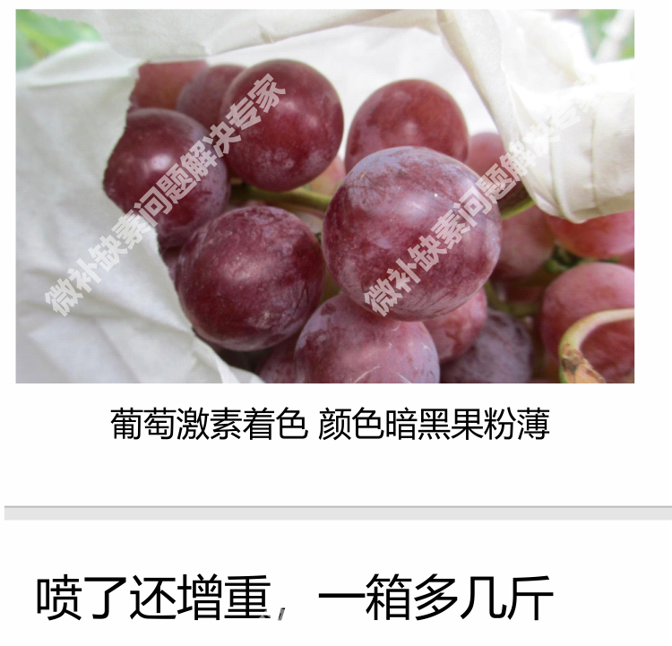 红果力750_10.png