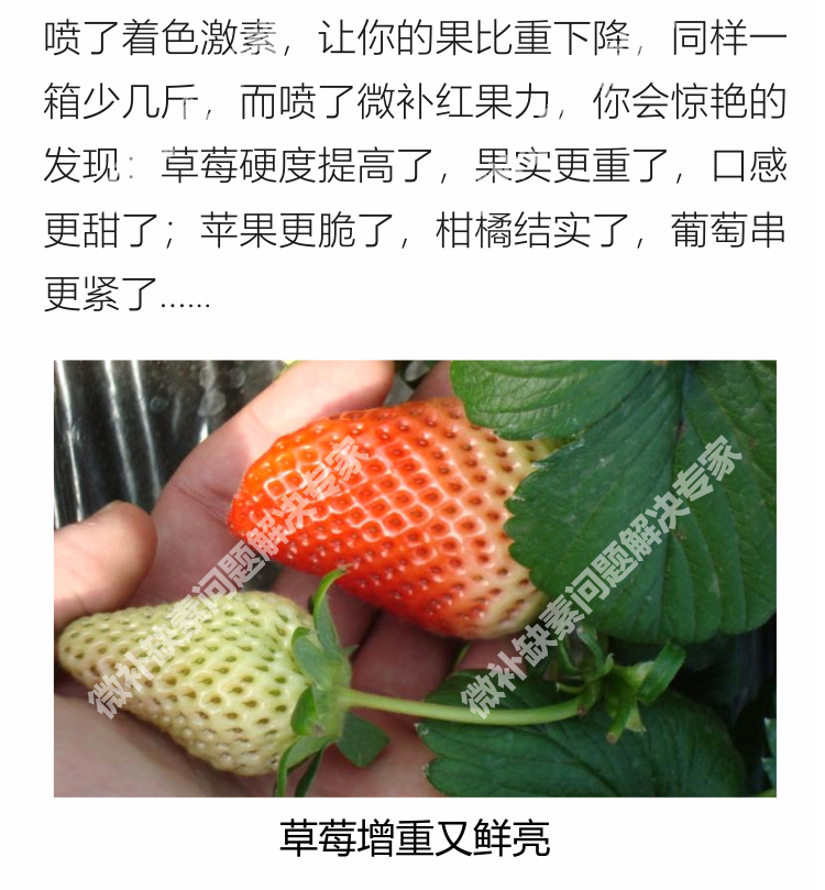 红果力750_11.png