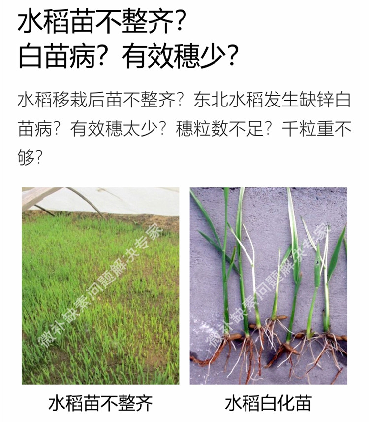 微补苗力750_副本3.jpg
