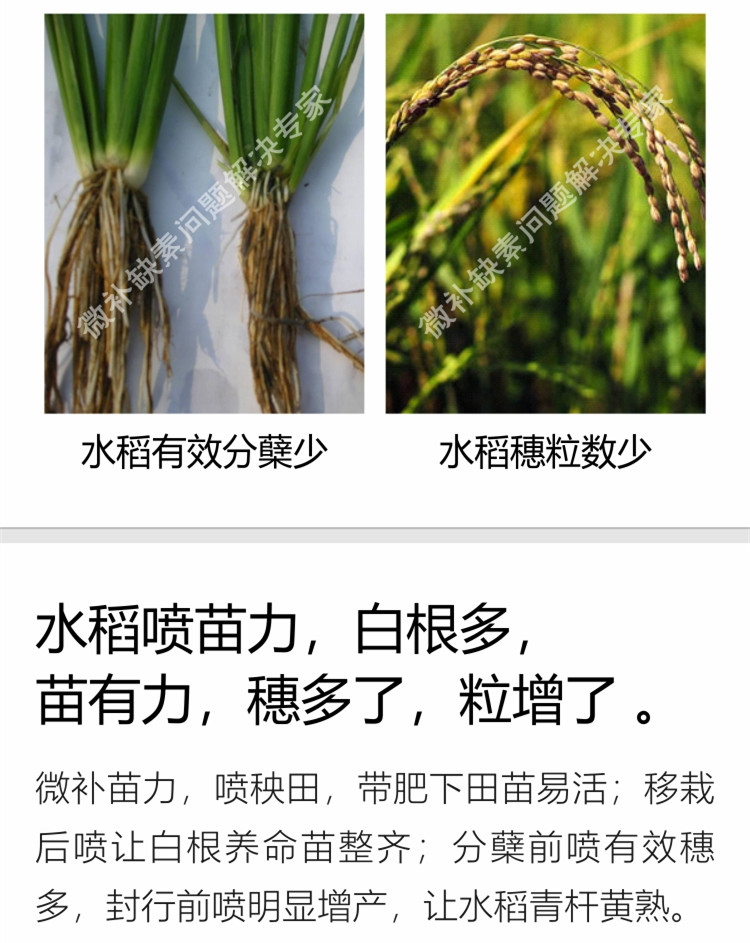 微补苗力750_副本4.jpg