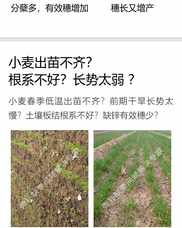 微补苗力750_副本6.jpg