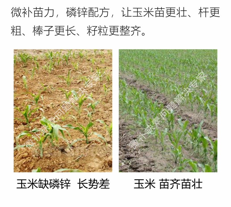 微补苗力750_副本8.jpg