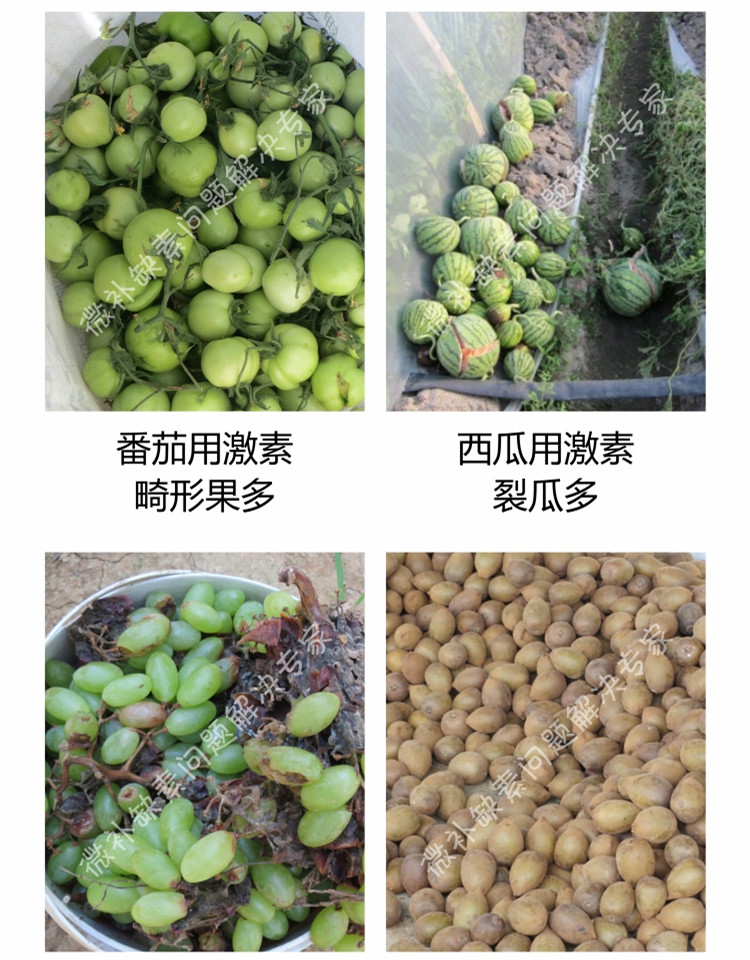 微补壮力750_副本3.jpg