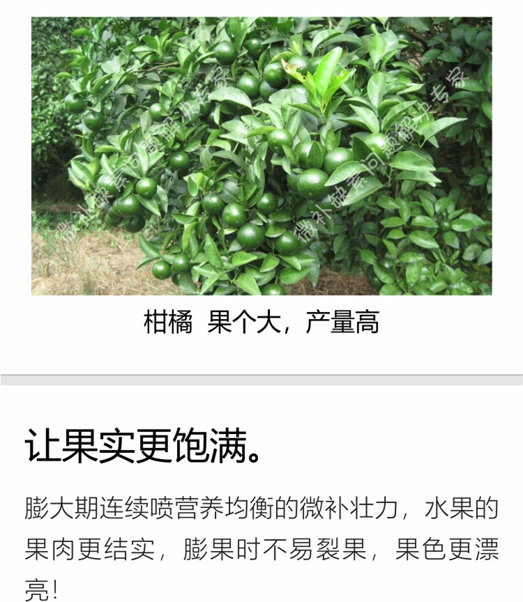 微补壮力750_副本5.jpg