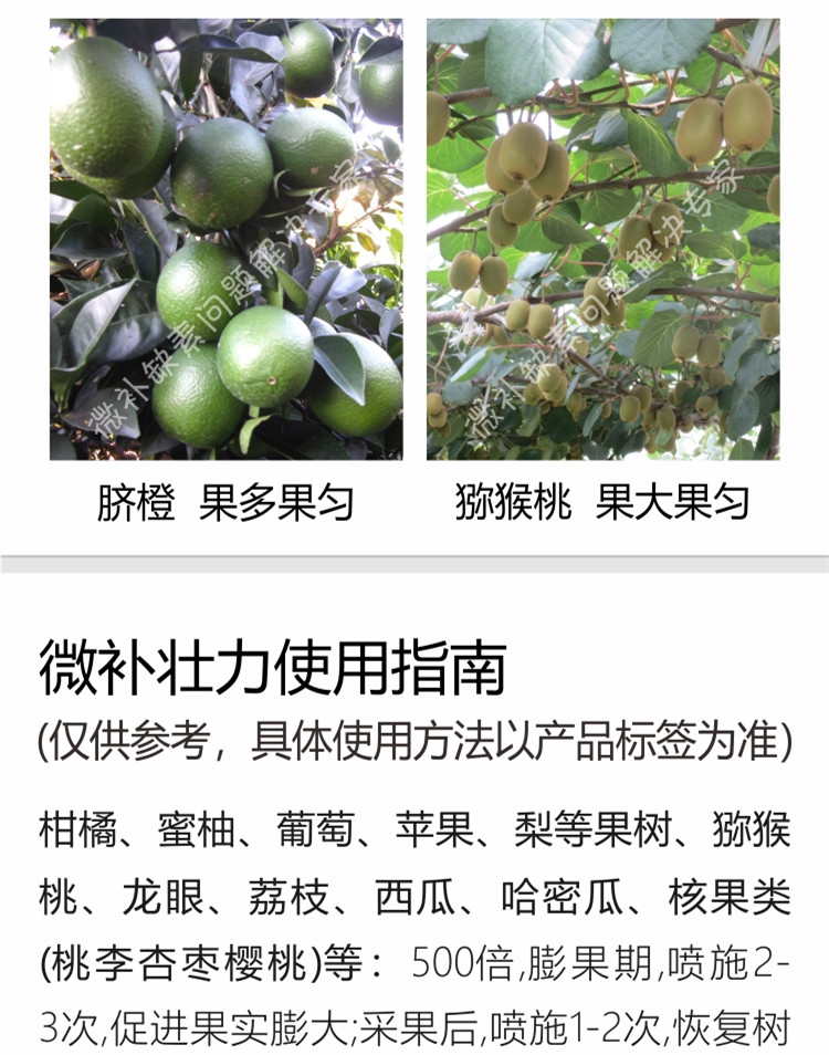 微补壮力750_副本7.jpg