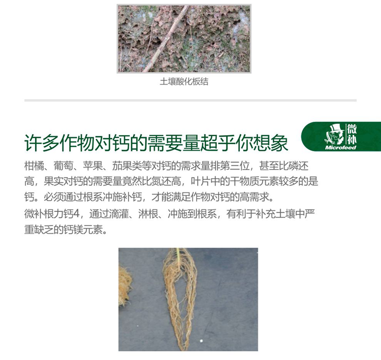 微补根力钙4-990_04.png