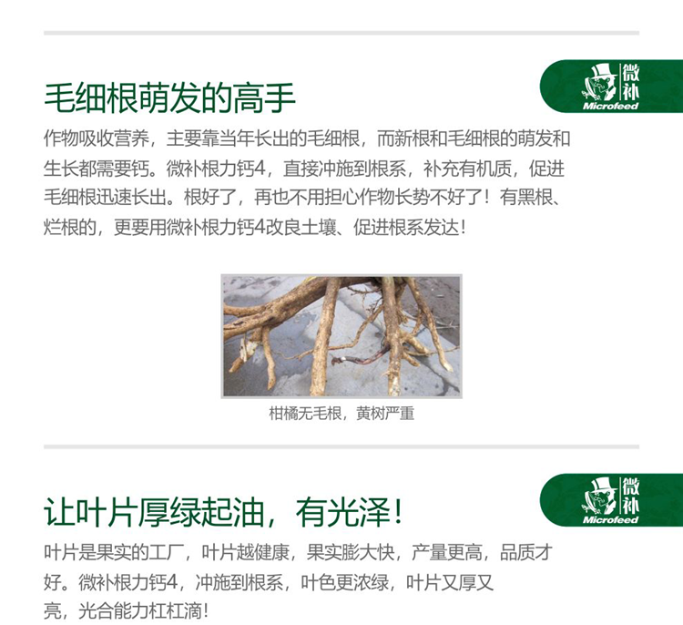 微补根力钙4-990_05.png