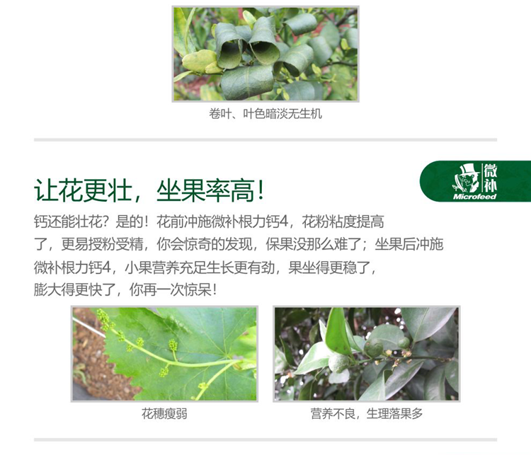 微补根力钙4-990_06.png