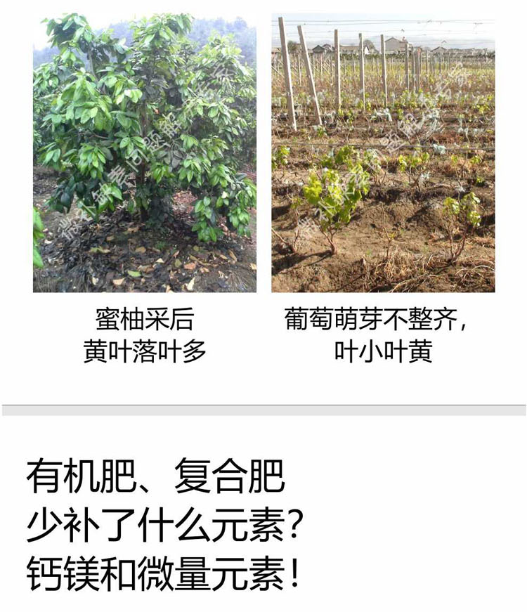 微补倍力1-750_03.png