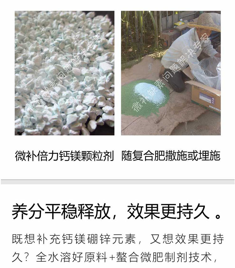 微补倍力1-750_05.png