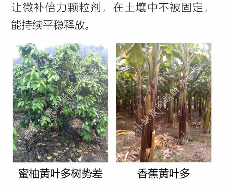 微补倍力1-750_06.png