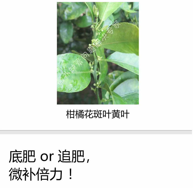 微补倍力1-750_07.png