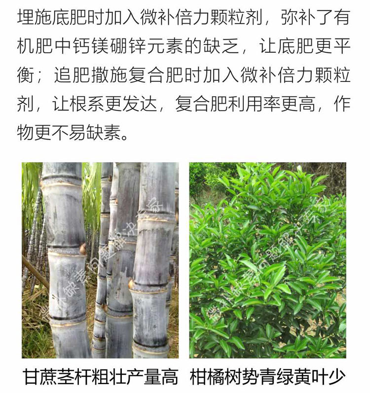 微补倍力1-750_08.png