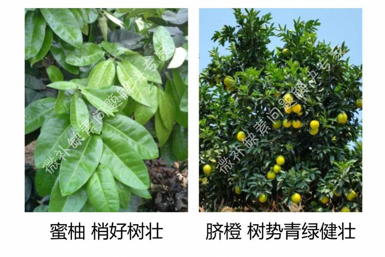 微补倍力750_03.png
