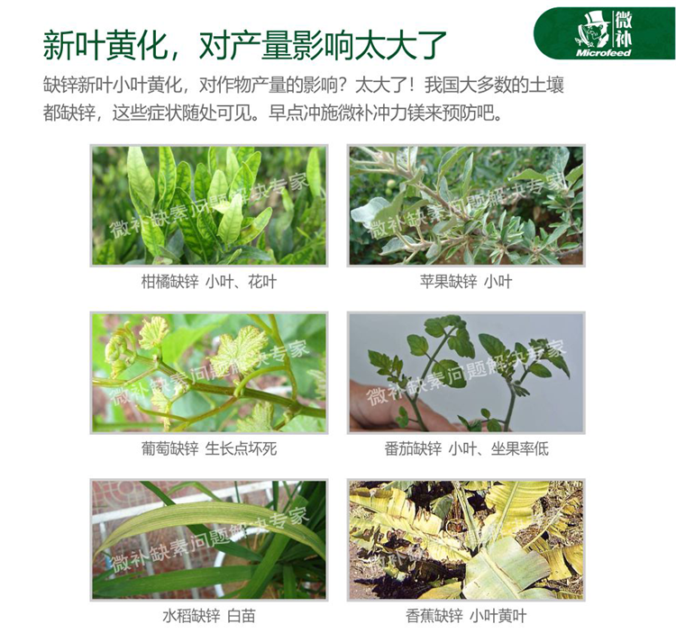 微补冲力镁990_04.png