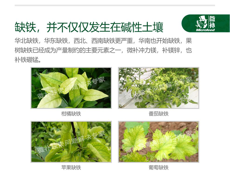 微补冲力镁990_05.png