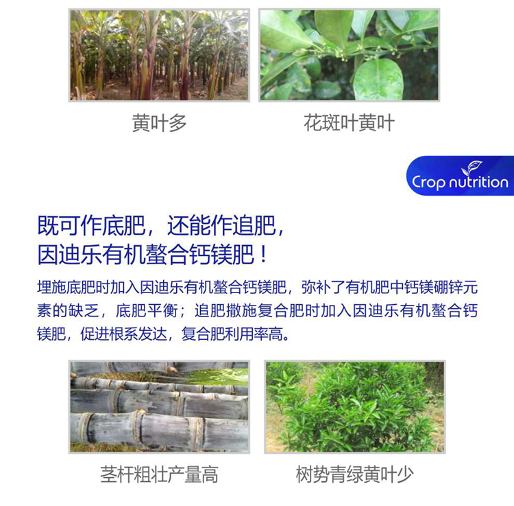 因迪乐有机螯合钙镁肥990_05.png