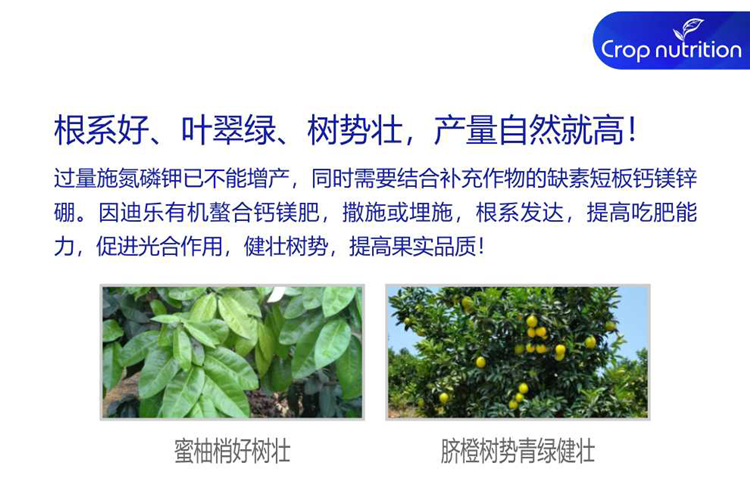 因迪乐有机螯合钙镁肥990_06.png