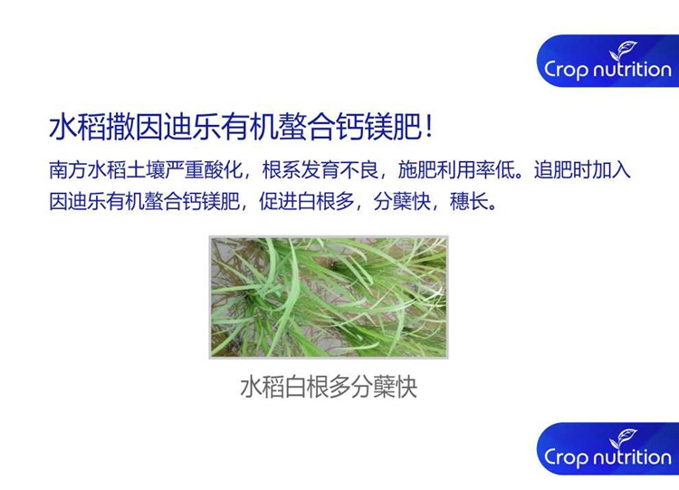 因迪乐有机螯合钙镁肥990_07.png