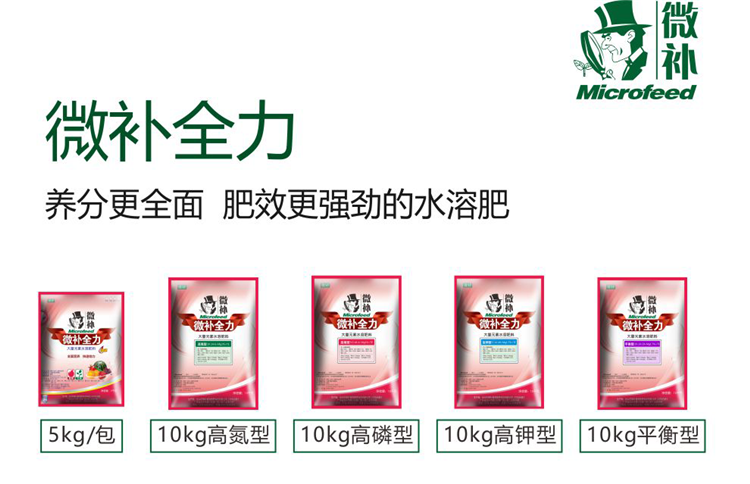 微补全力990_01.png