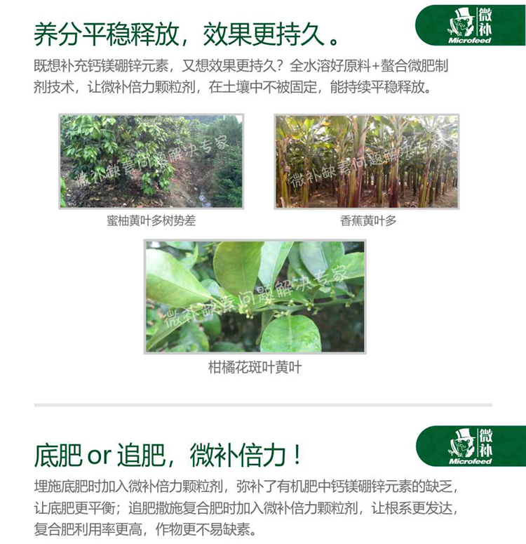 微补倍力990_04.png
