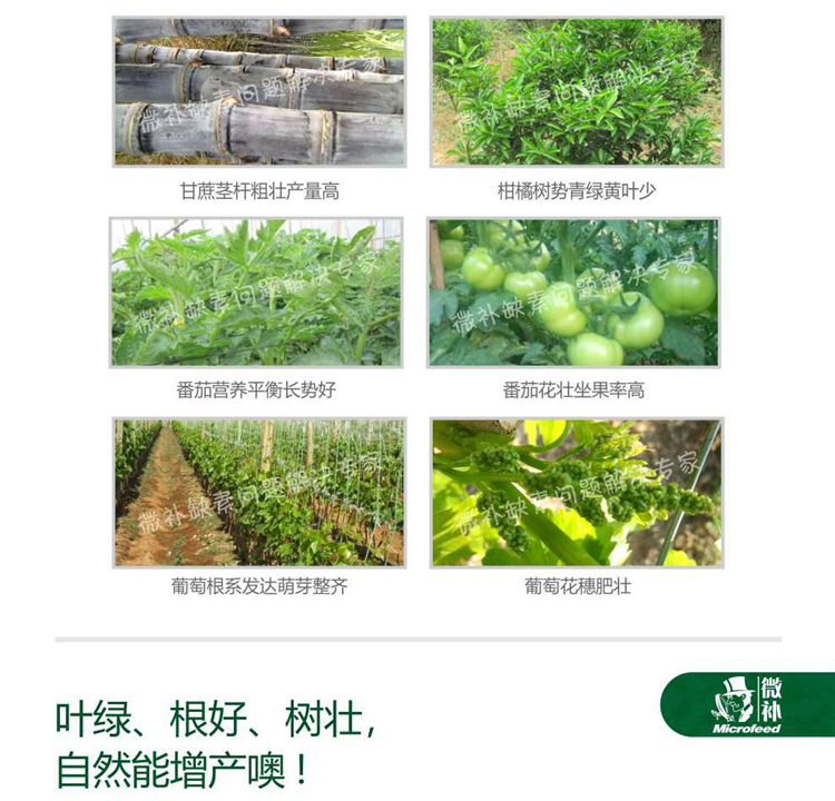 微补倍力990_05.png