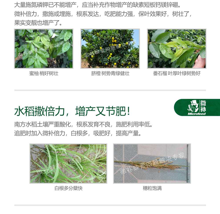 微补倍力990_06.png
