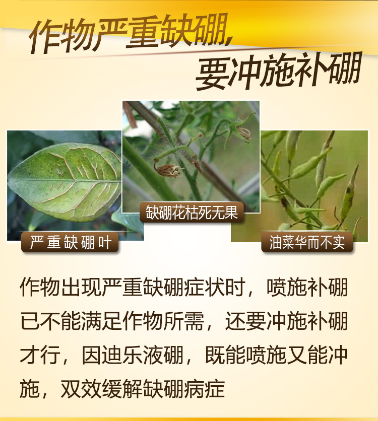 15因迪乐有机液硼2_05.jpg