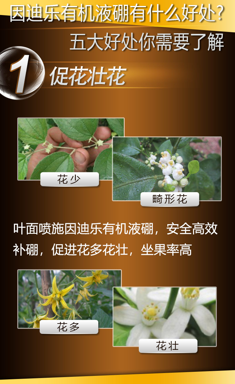 15因迪乐有机液硼2_06.jpg