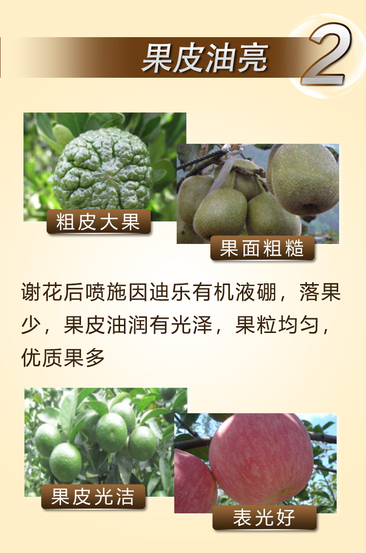 15因迪乐有机液硼2_07.jpg