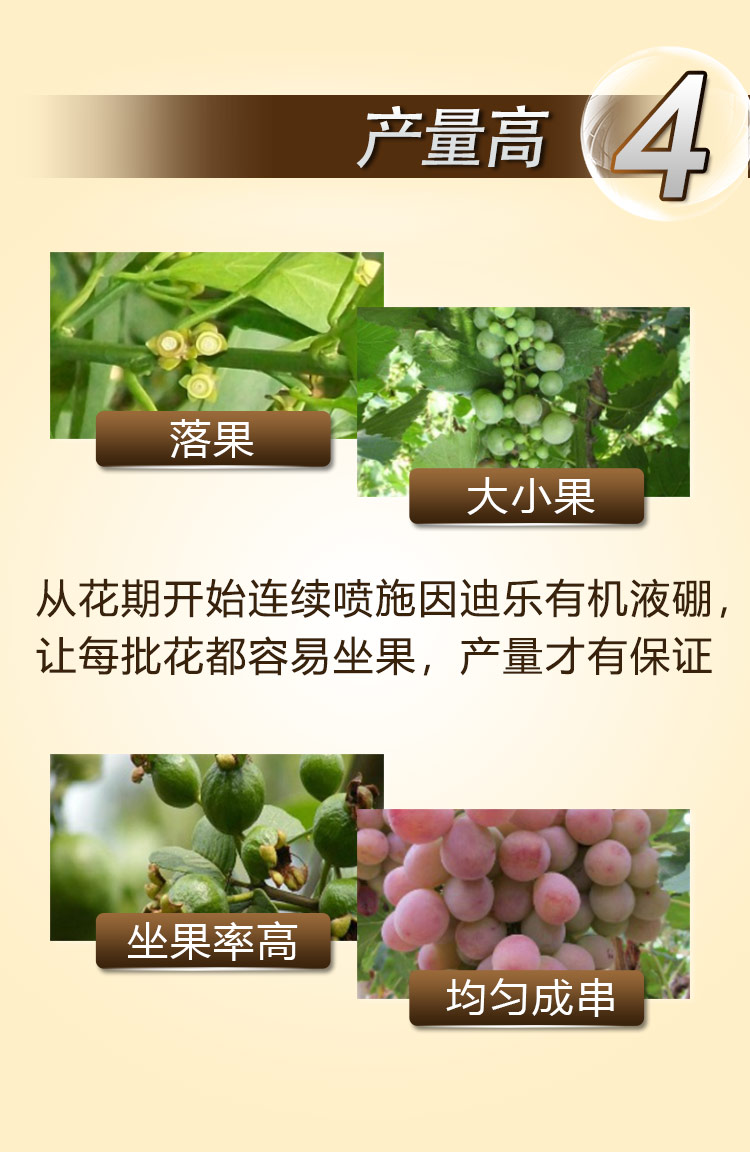 15因迪乐有机液硼2_09.jpg