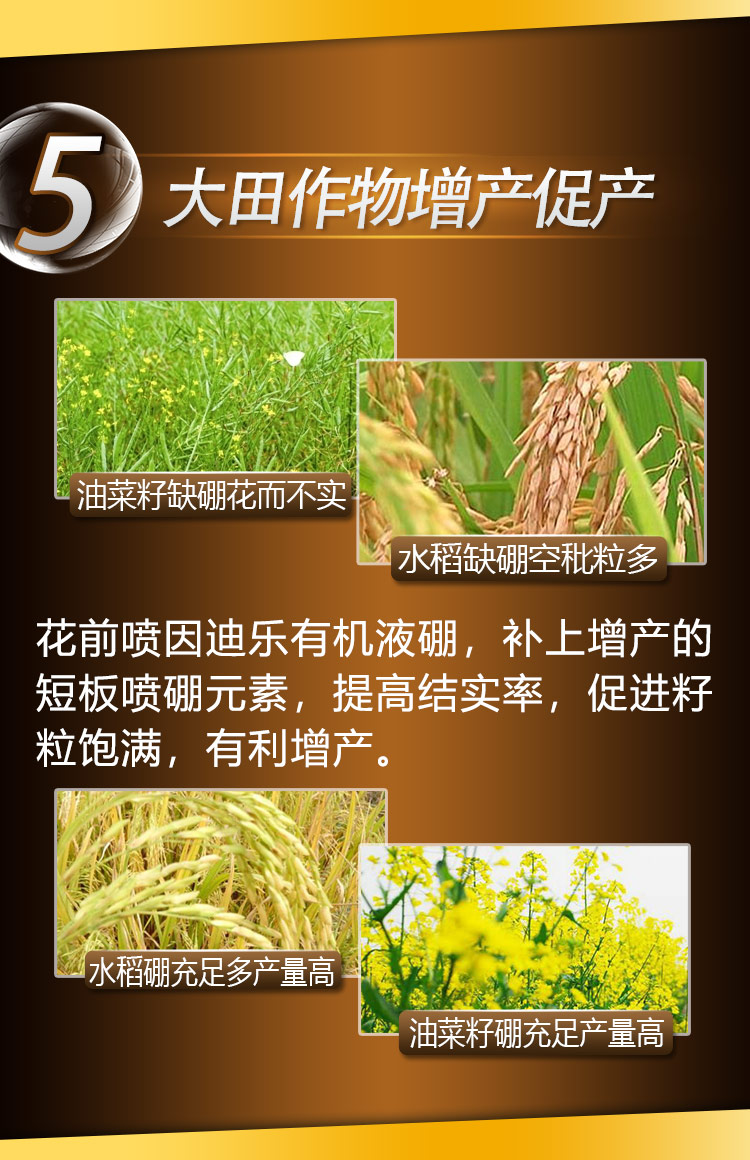 15因迪乐有机液硼2_10.jpg