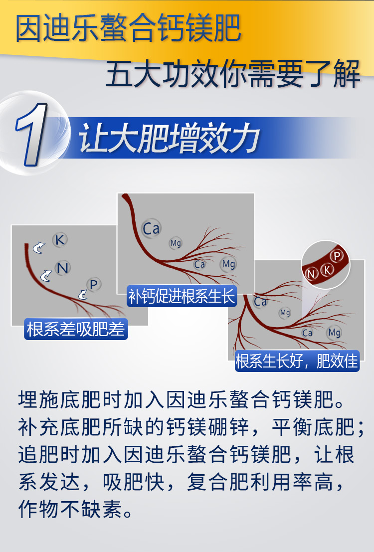 18因迪乐有机螯合钙镁肥2_04.jpg