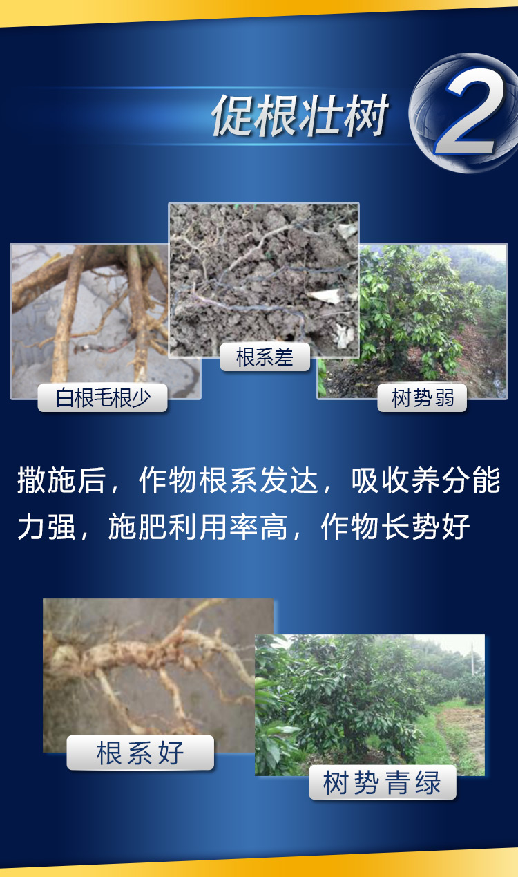 18因迪乐有机螯合钙镁肥2_05.jpg