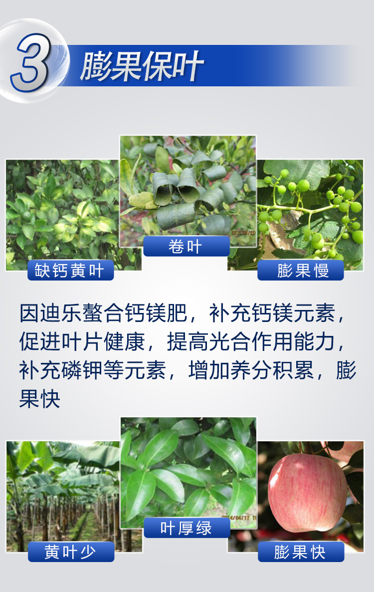 18因迪乐有机螯合钙镁肥2_06.jpg