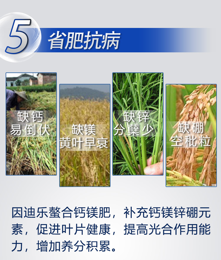 18因迪乐有机螯合钙镁肥2_08.jpg
