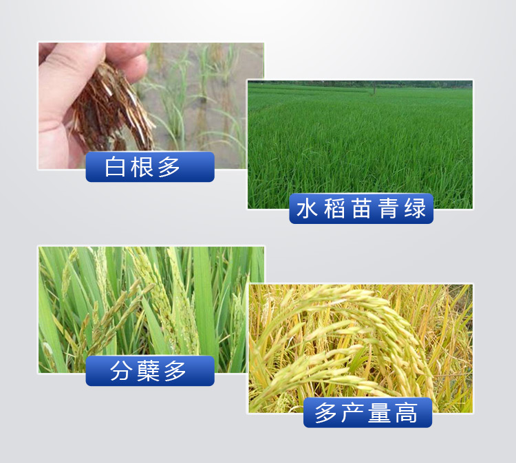 18因迪乐有机螯合钙镁肥2_09.jpg