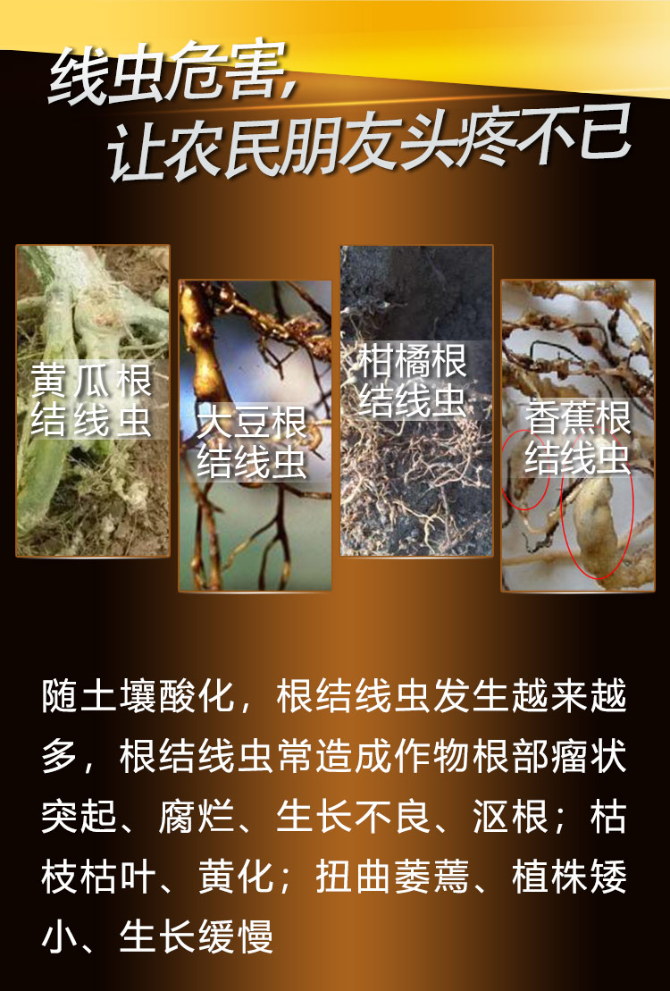 22BioMicro线虫防控系列【手机版】_03.jpg