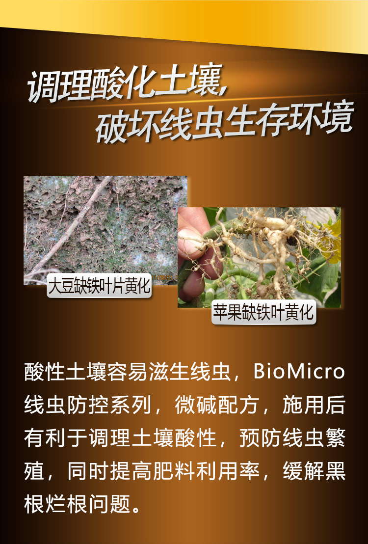 22BioMicro线虫防控系列【手机版】_06.jpg