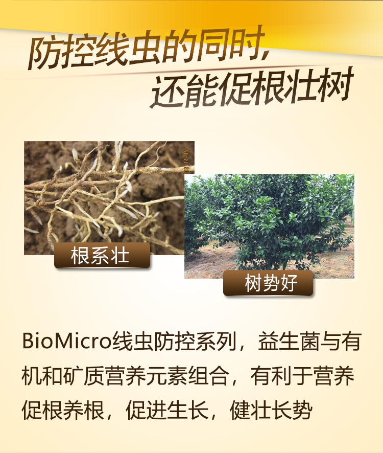 22BioMicro线虫防控系列【手机版】_07.jpg