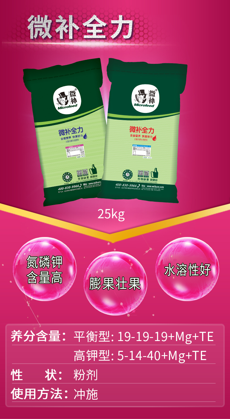 微补全力-2.jpg