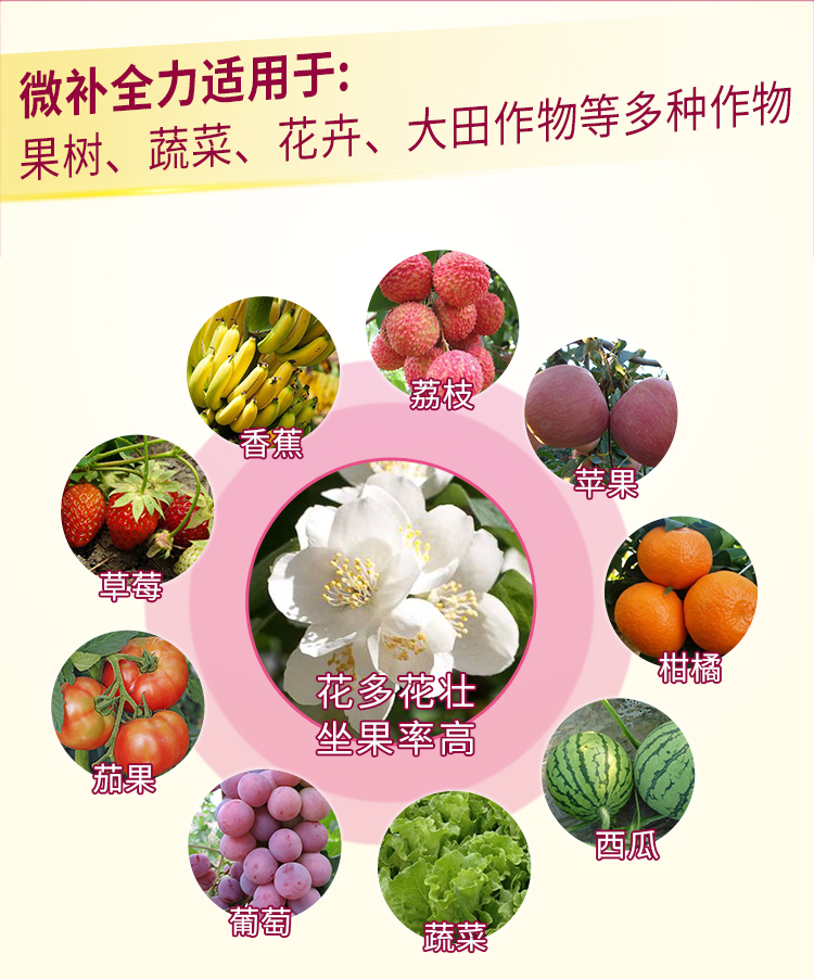 微补全力_02.jpg