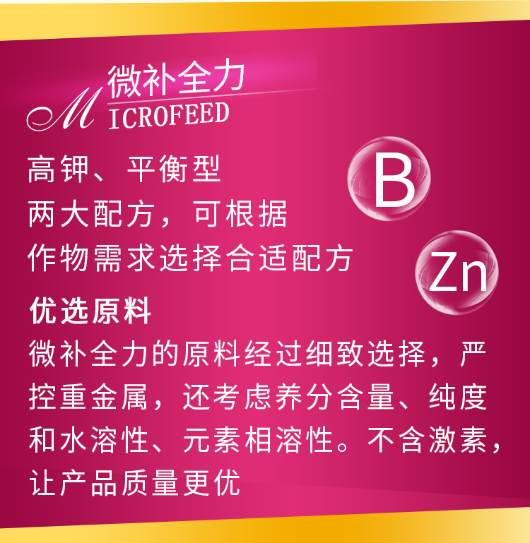 微补全力_03.jpg