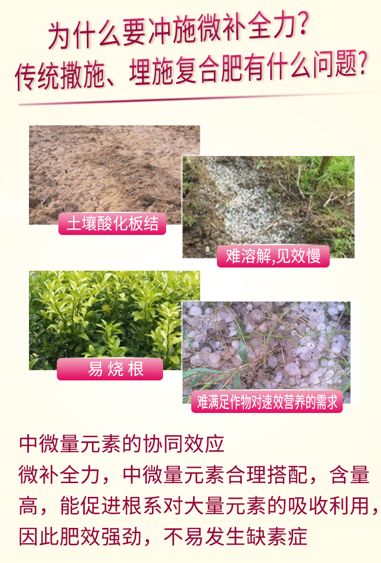 微补全力_04.jpg
