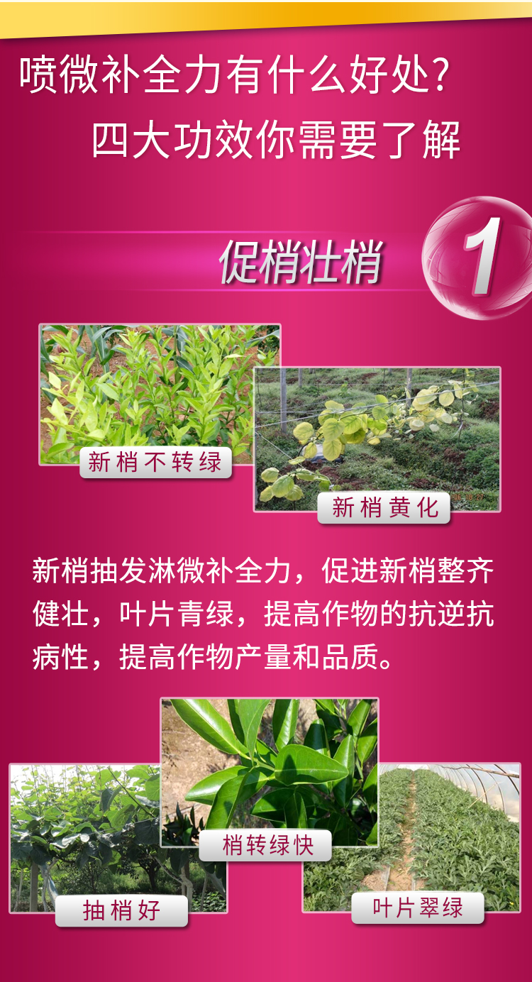 微补全力_05.jpg